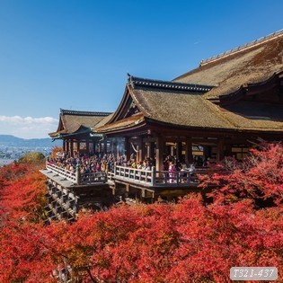 Tranh dán tường phong cảnh NHật bản T321-437